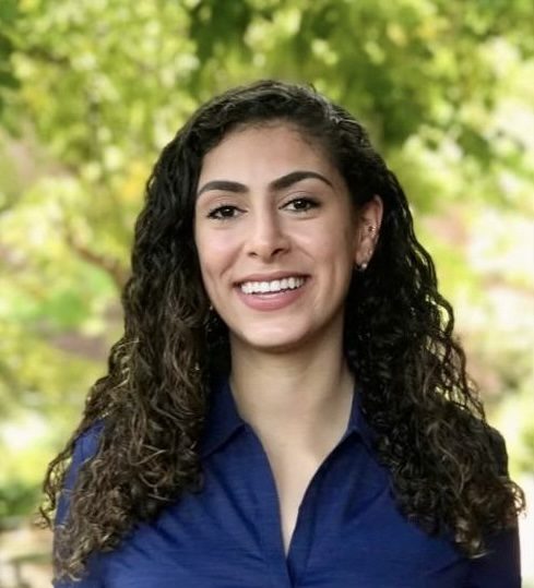 Farah Khuzouz, LMFT — Arabic-speaking, culturally responsive online marriage and family therapist serving New York State